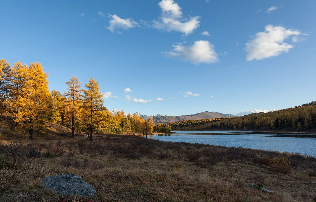 Фото обои осень, Озеро, Алтай, Киделю