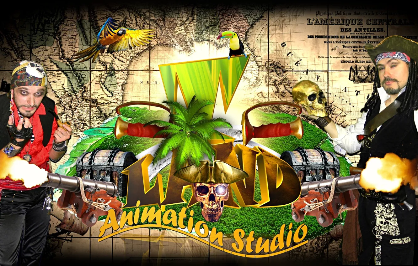 Фото обои пальма, птица, остров, череп, карта, позитив, выстрел, Пираты