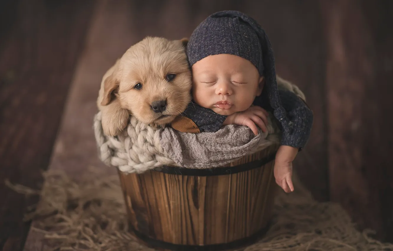 Фото обои настроение, сон, собака, малыш, щенок, ребёнок, шапочка, младенец