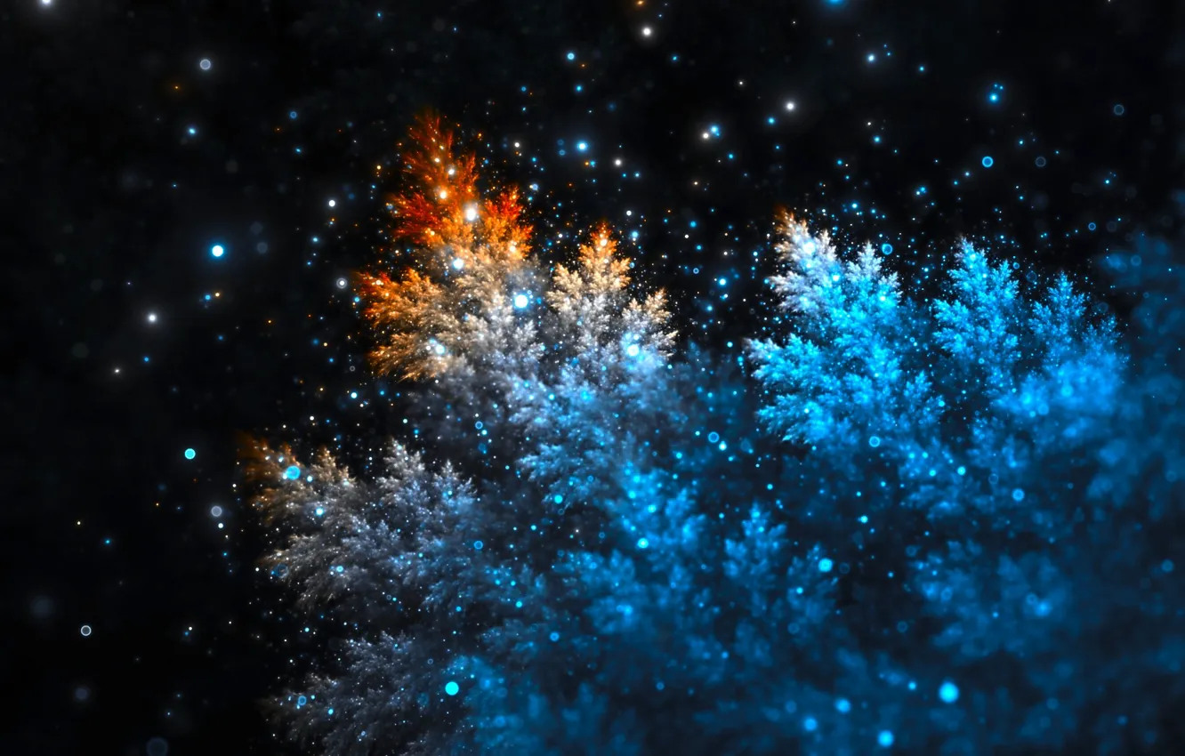 Фото обои night, stars, tree, branch