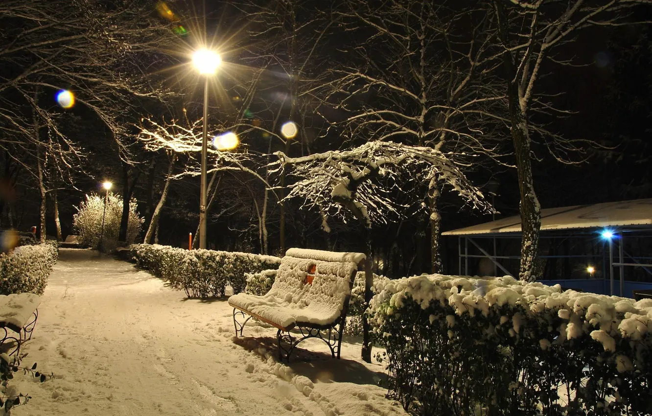 Фото обои зима, свет, снег, деревья, скамейка, вечер
