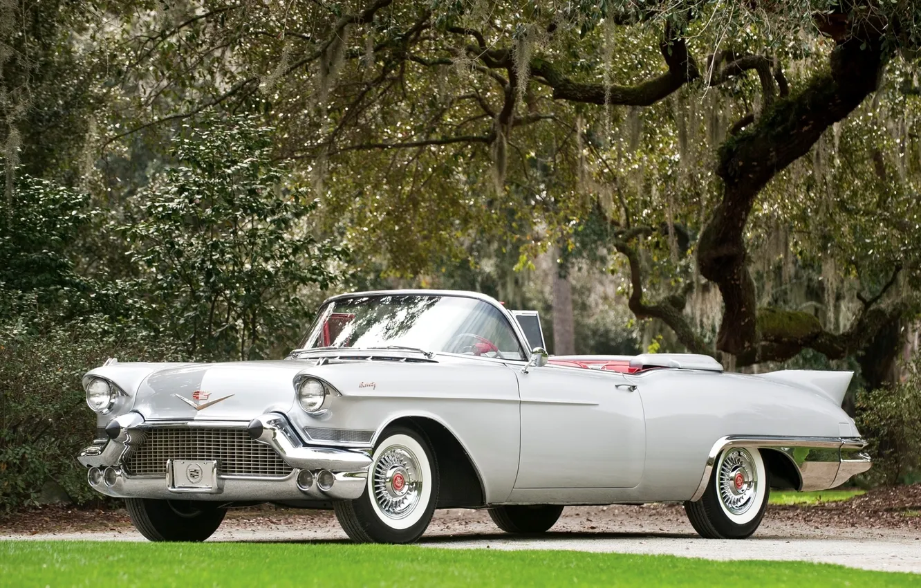 Фото обои серый, дерево, Eldorado, Cadillac, кабриолет, классика, передок, кадилак
