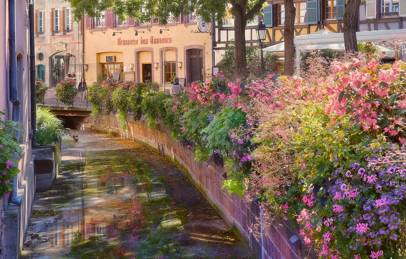 Фото обои цветы, улица, канал, France, Alsace, Colmar
