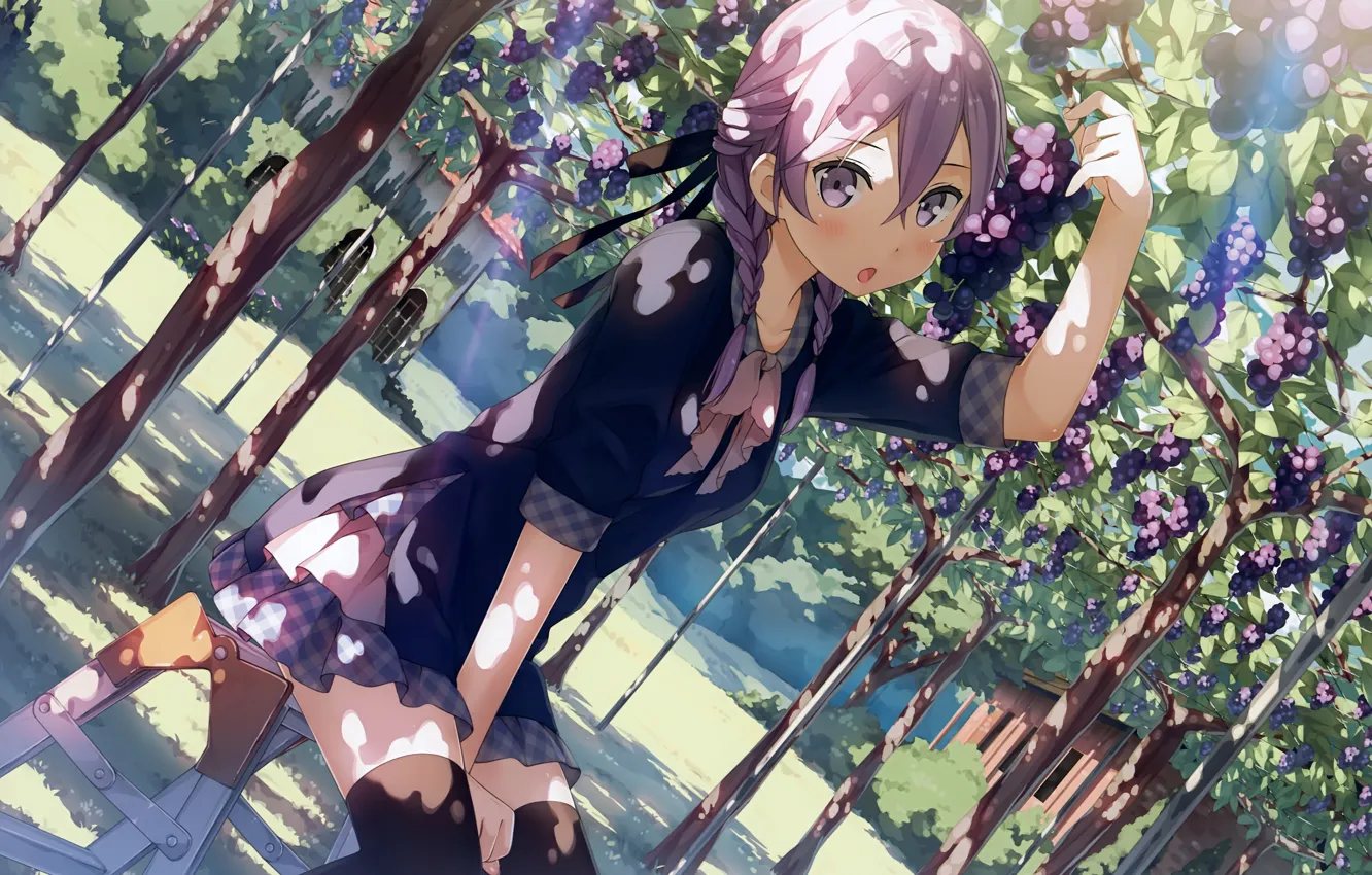 Фото обои виноградник, школьница, сидит на стуле, в тени, сиреневые волосы, гроздь винограда, by Kantoku
