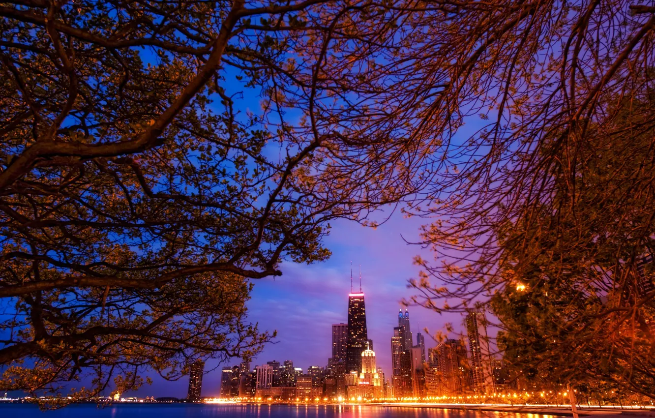 Фото обои пейзаж, ночь, ветки, огни, небоскребы, америка, чикаго, Chicago