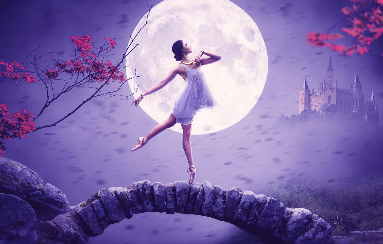 Фото обои девушка, поза, замок, луна, балерина