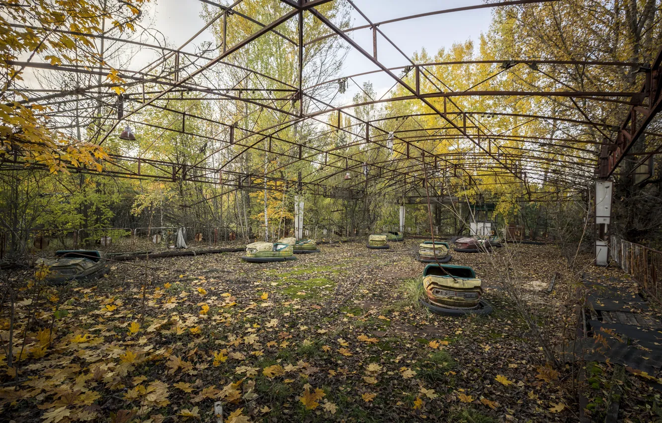 Фото обои город, парк, атракцион