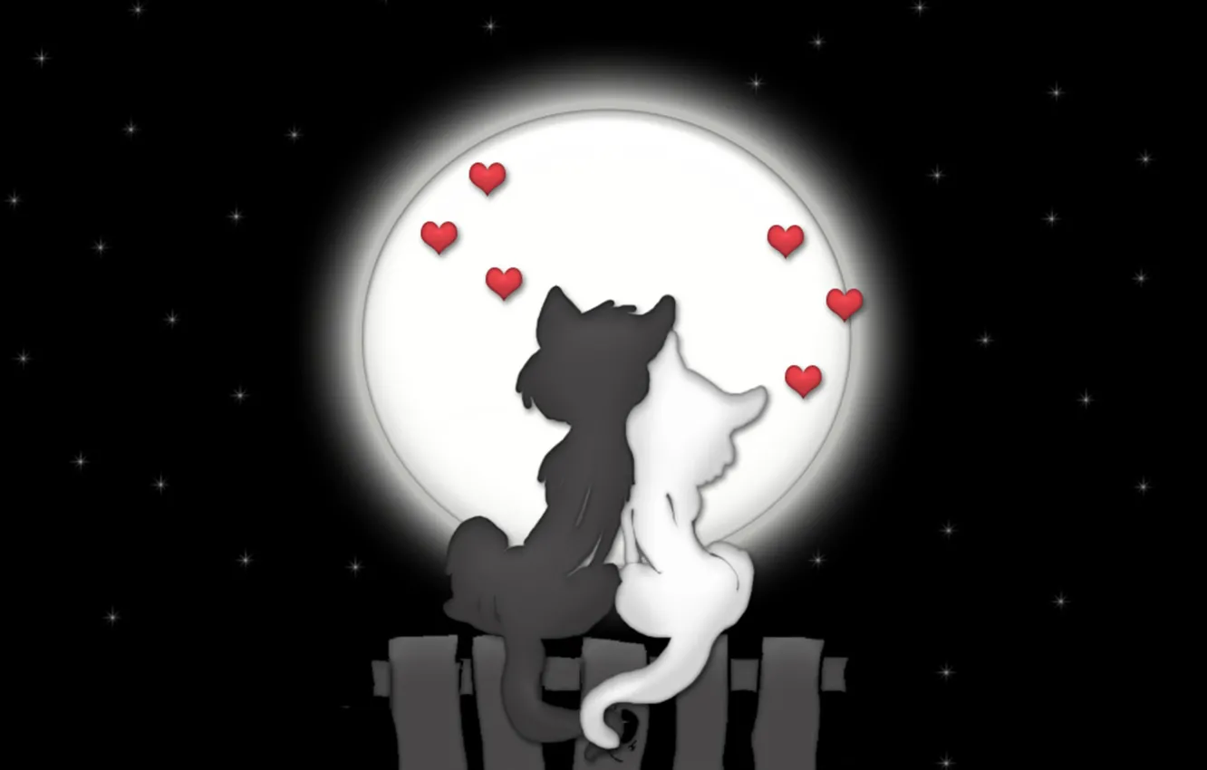 Фото обои любовь, кошки, ночь, луна