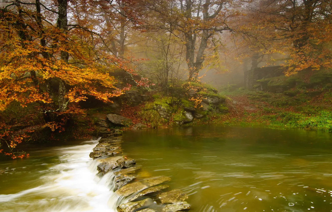 Фото обои осень, деревья, река