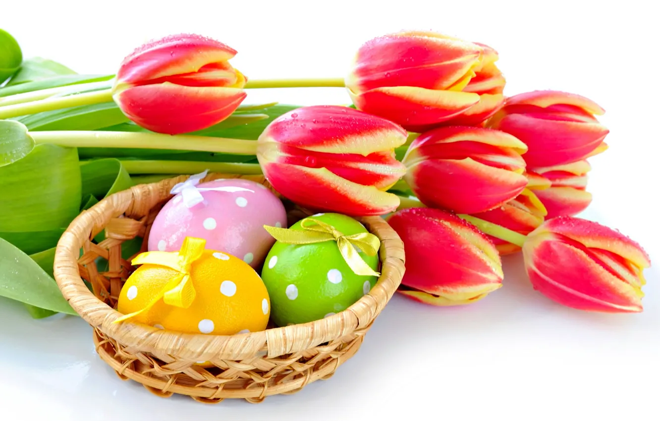 Фото обои яйца, весна, пасха, тюльпаны, Easter
