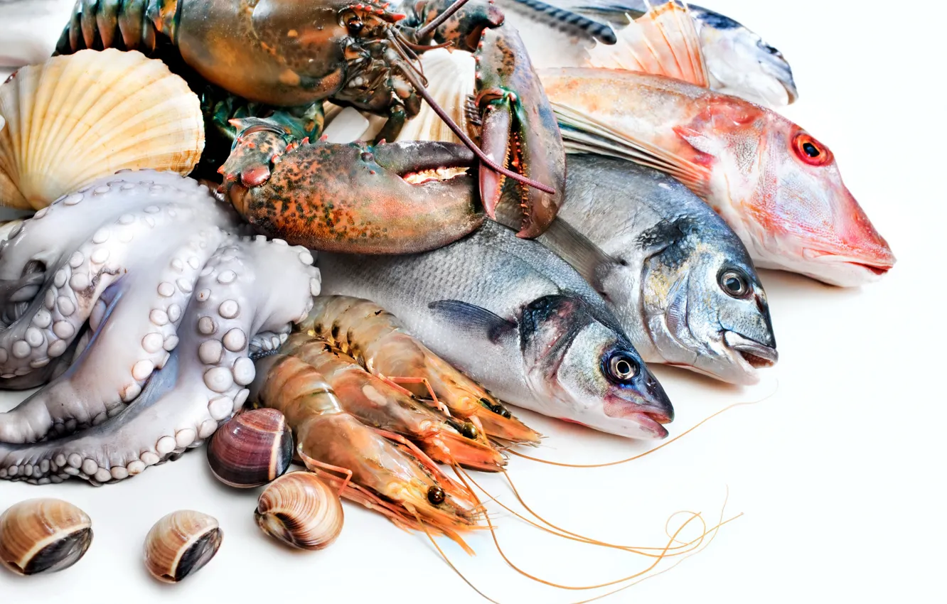 Фото обои рыба, осьминог, омар, креветки, морепродукты