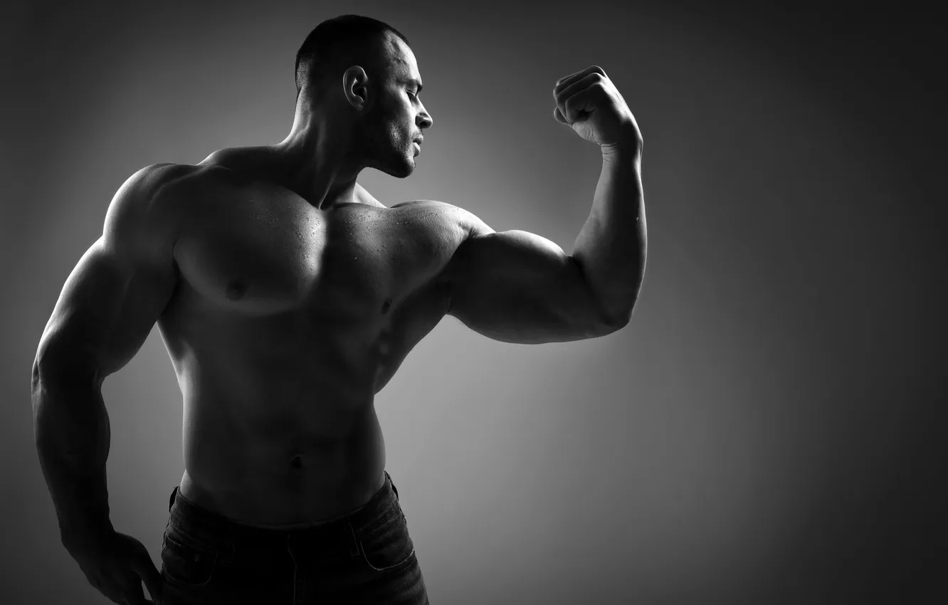 Фото обои pride, coach, arms, weight, abdominal, powerlifting, trainer, sportsman