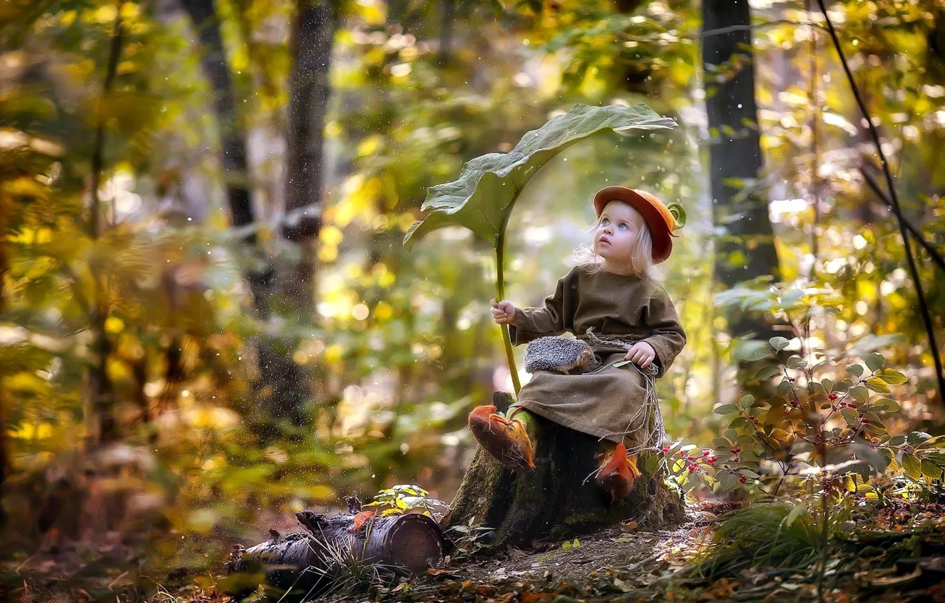 Фото обои лес, лист, дождь, ребёнок