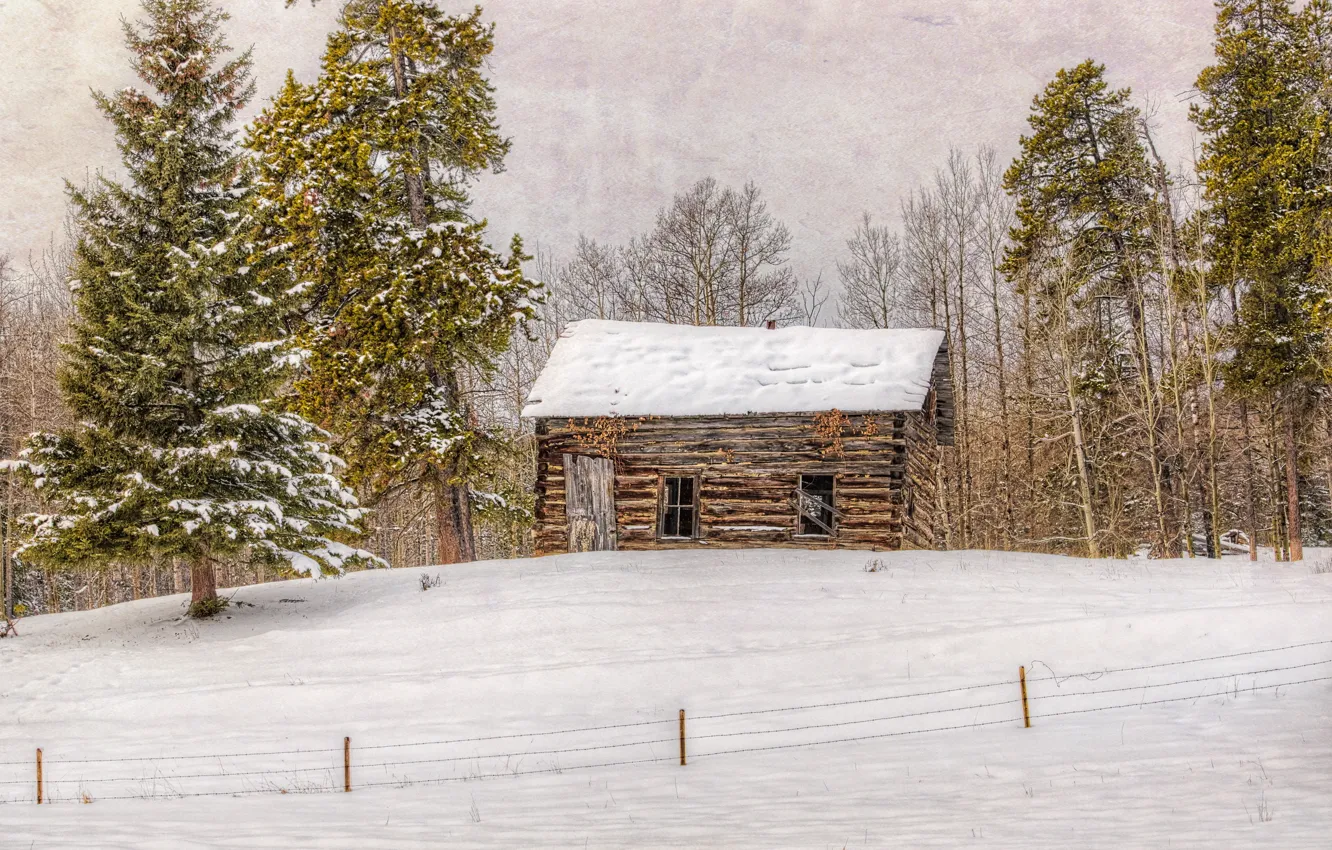 Фото обои зима, пейзаж, дом, стиль