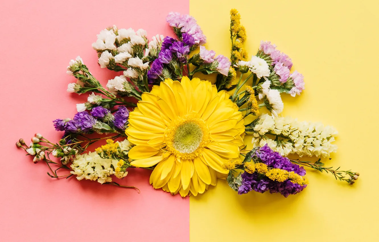 Фото обои цветы, весна, colorful, хризантемы, flowers, spring, композиция, bright