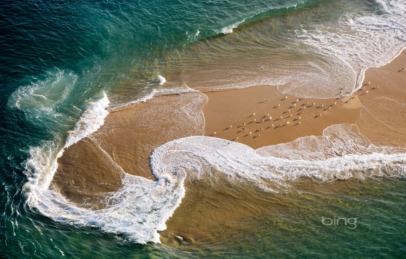Фото обои море, пляж, волна