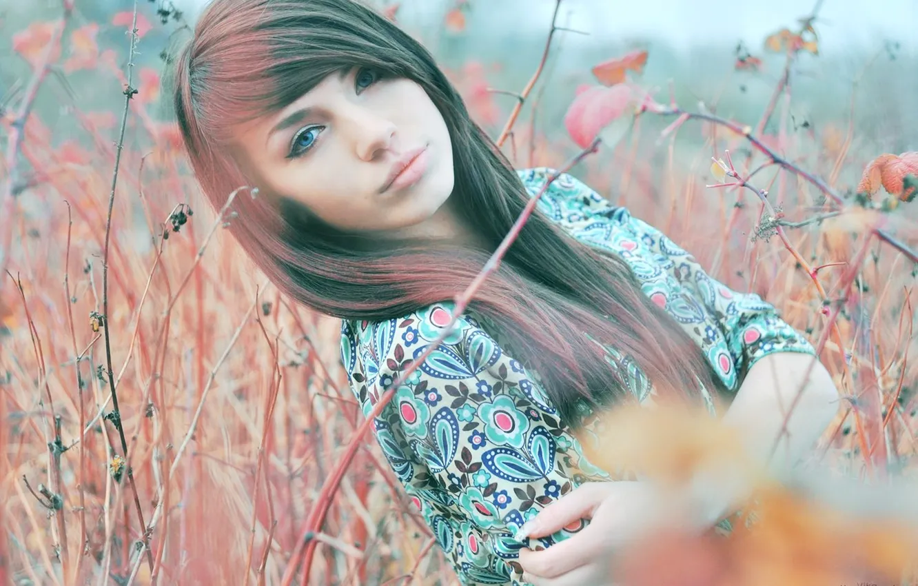 Фото обои девушка, модель, голубые глаза