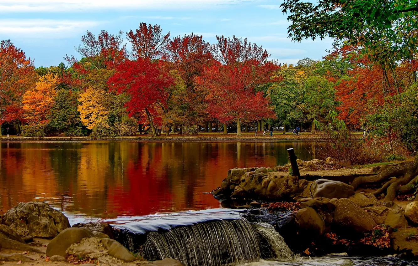 Фото обои осень, деревья, озеро, парк, New York, Вавилон, Belmont Lake State Park, штат Нью-Йорк