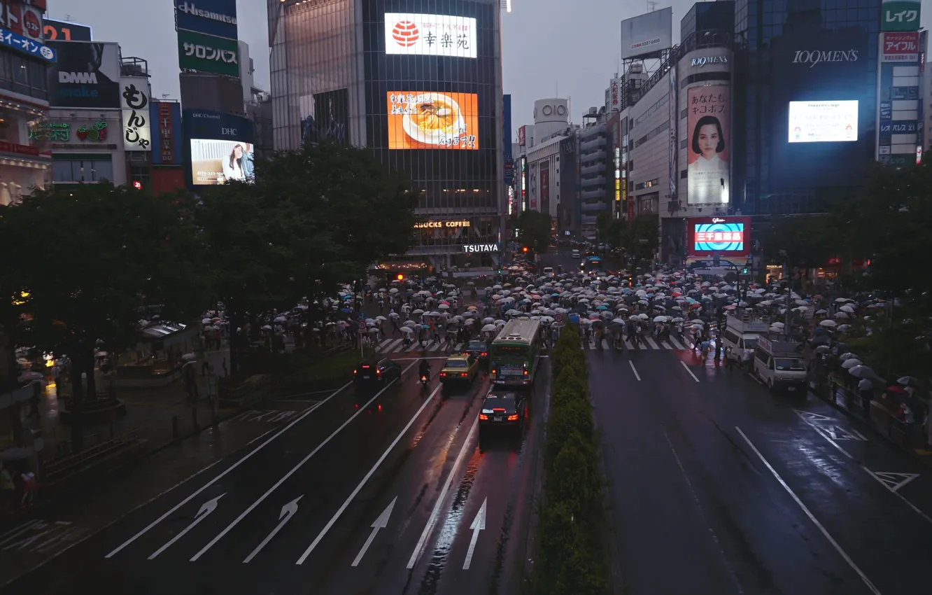 Фото обои люди, дождь, толпа, япония, зонты, прекресток