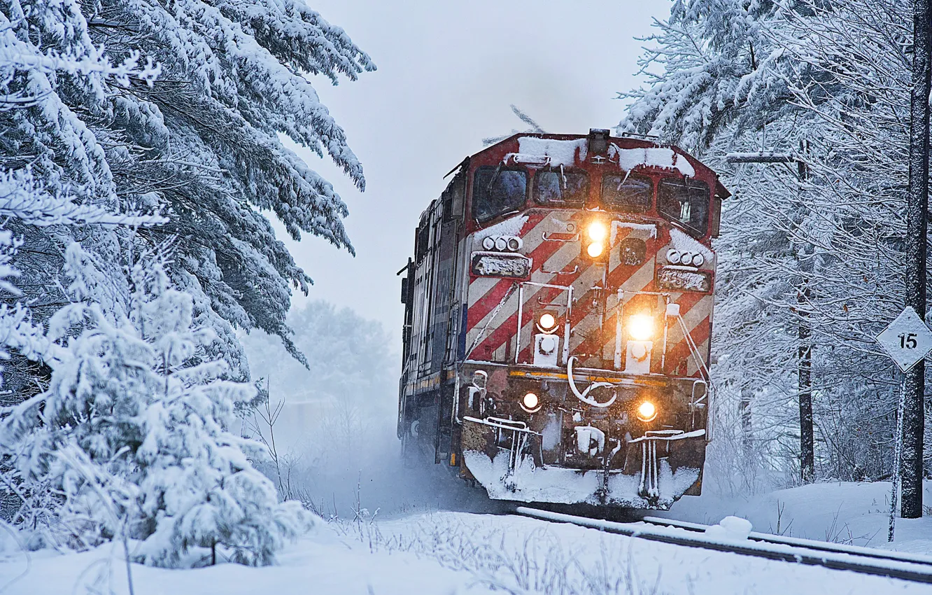 Фото обои зима, лес, снег, деревья, поезд, локомотив