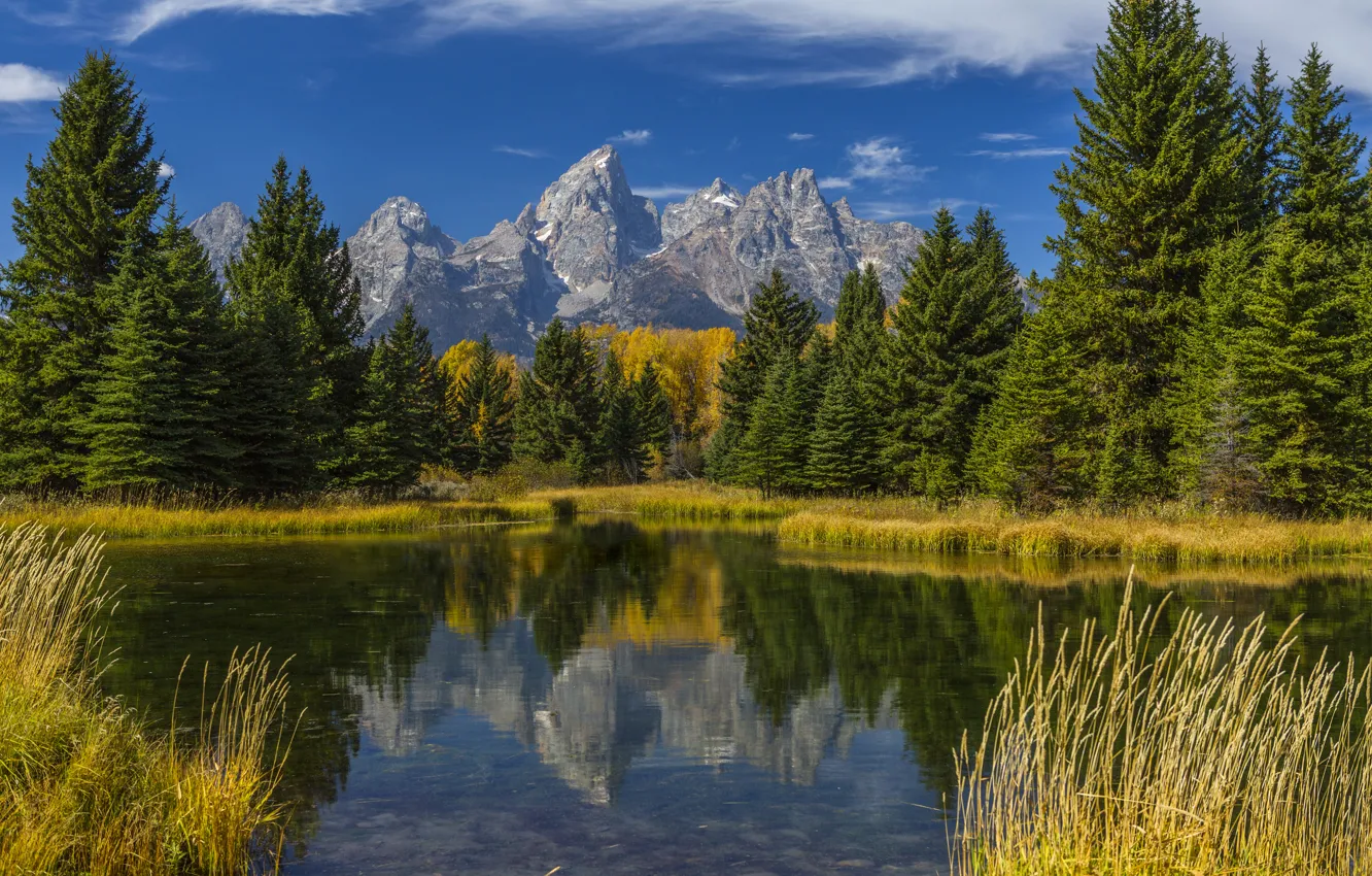 Фото обои осень, лес, трава, деревья, горы, озеро, отражение, США