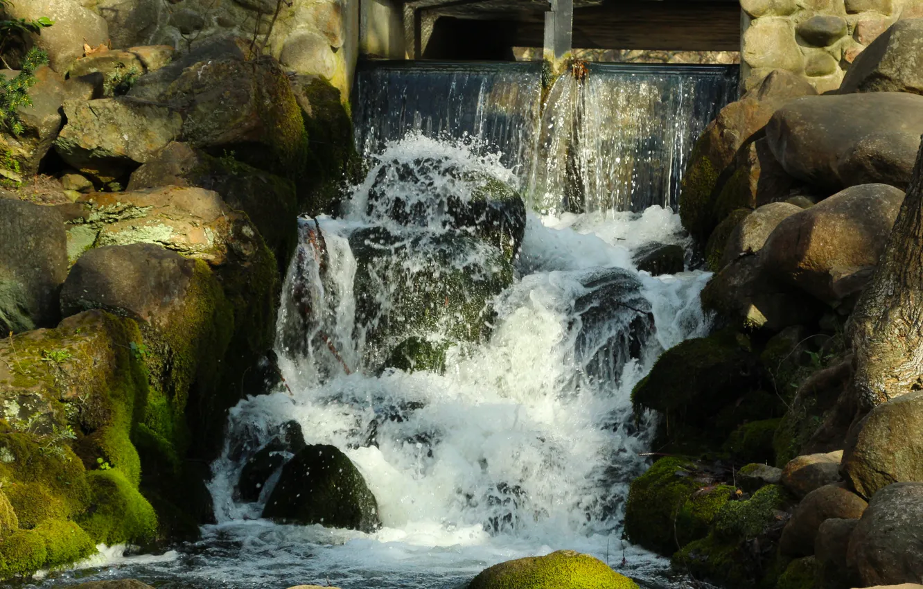 Фото обои water, park, waterfall
