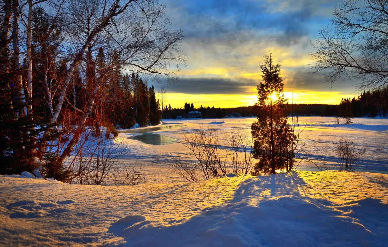 Фото обои зима, лес, деревья, пейзаж, закат, природа, озеро, Канада