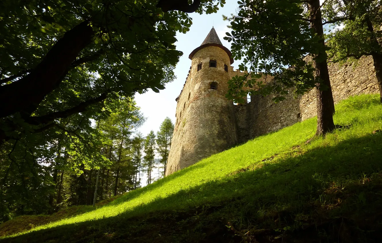 Фото обои солнце, лучи, свет, деревья, замок, тень, холм, день