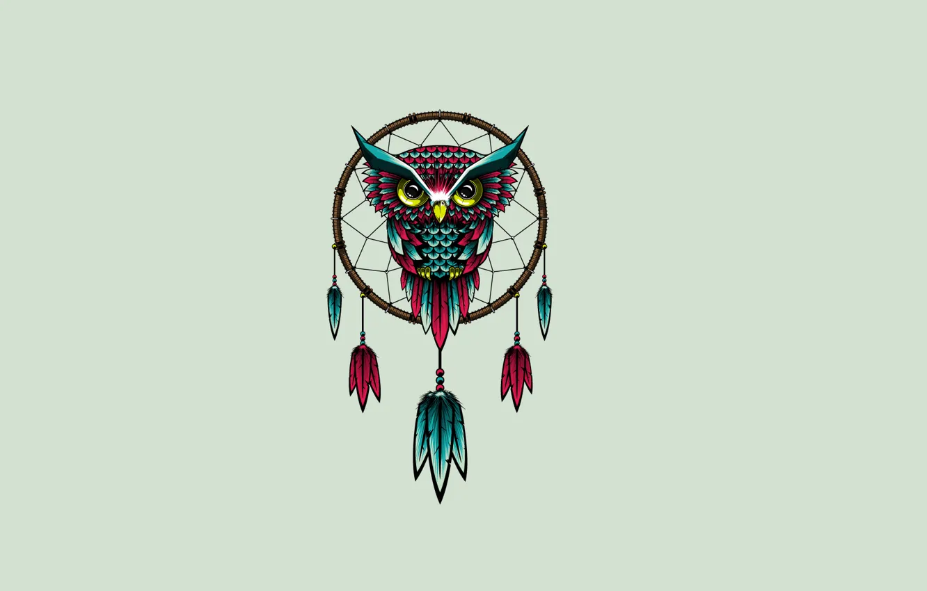 Фото обои сова, птица, минимализм, owl, Dreamcatcher, ловец снов