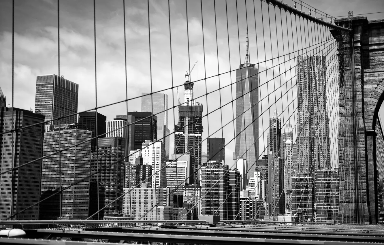 Фото обои здания, черно-белое, Brooklyn, Manhattan, New York City, Brooklyn Bridge