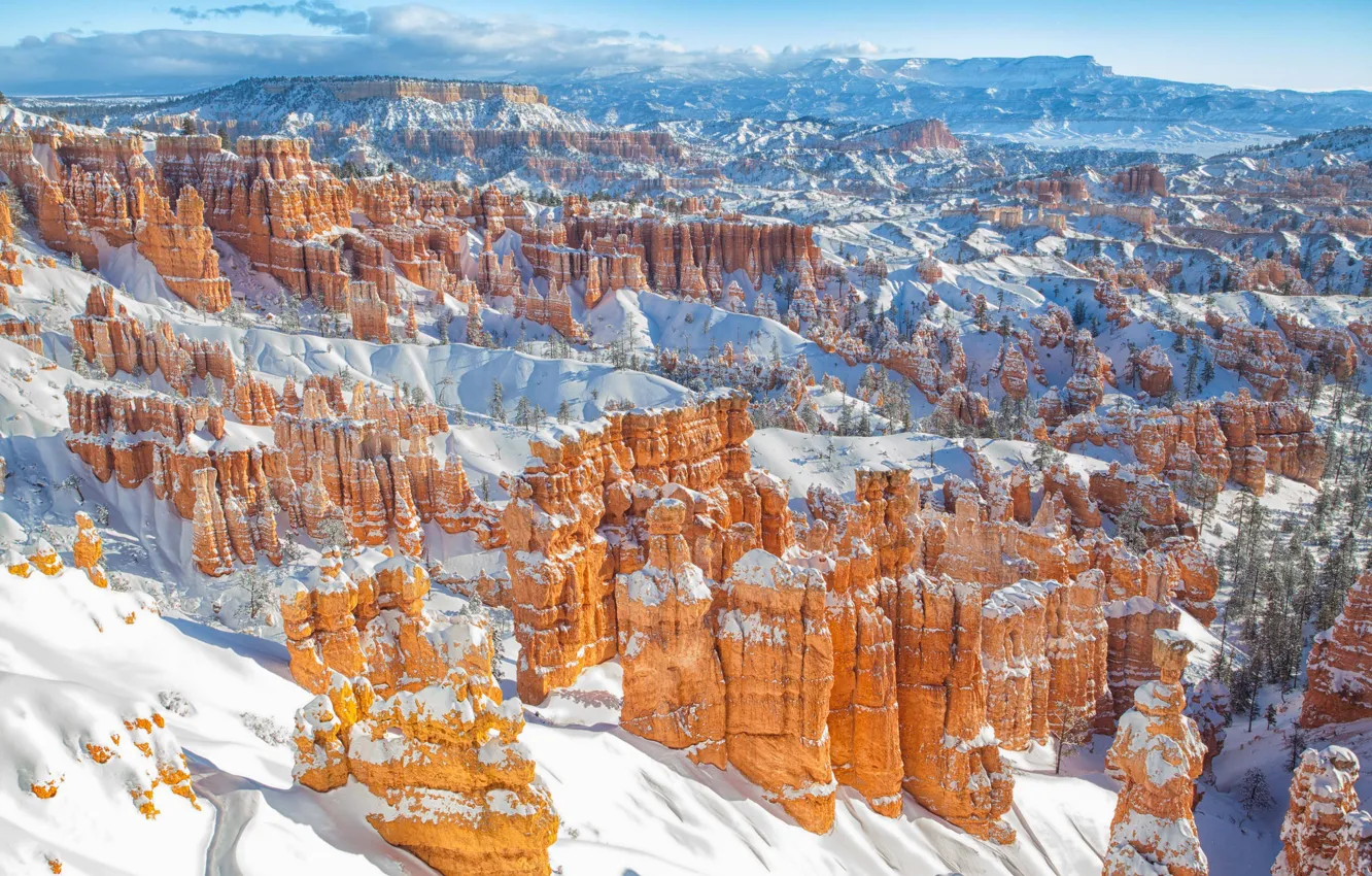 Фото обои зима, снег, каньон, Юта, Utah, Bryce Canyon National Park, Национальный парк Брайс-Каньон, худу