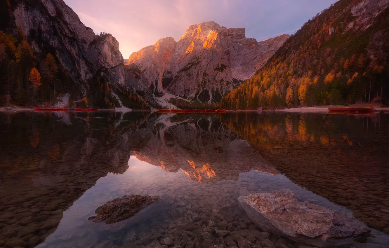 Фото обои осень, лес, вода, прозрачность, свет, деревья, горы, камни