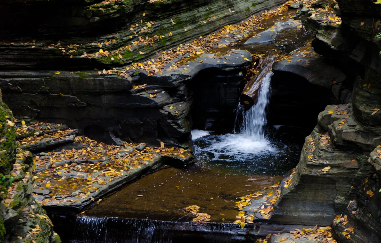 Фото обои Водопад, Осень, Камни, USA, США, Fall, Листва, Речка