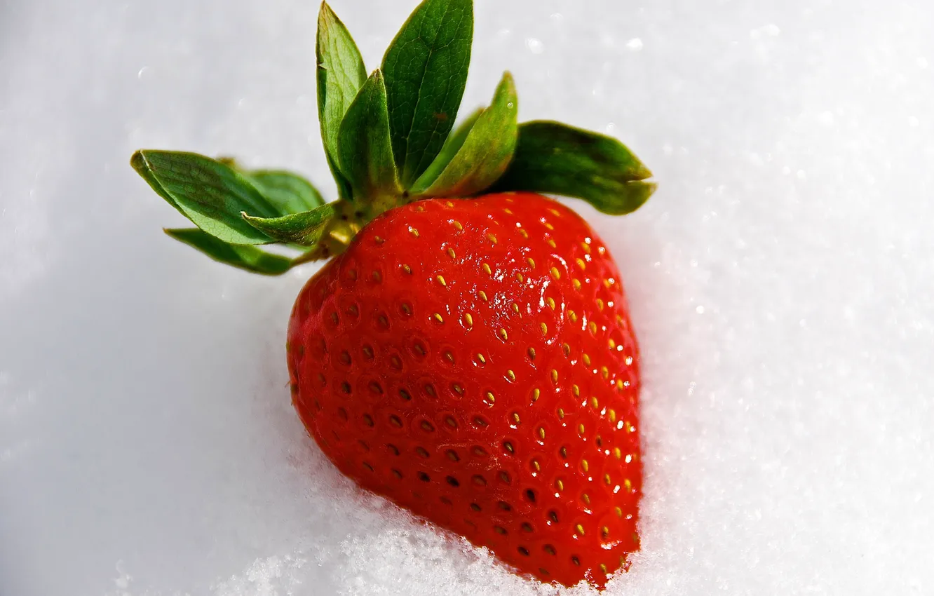Фото обои снег, еда, земляника, клубника, ягода