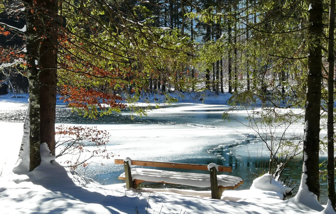Фото обои холод, зима, снег, деревья, скамейка, река, романтик
