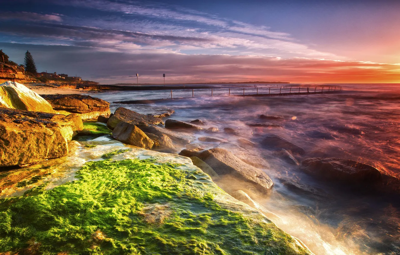 Фото обои море, водоросли, закат, камни, берег