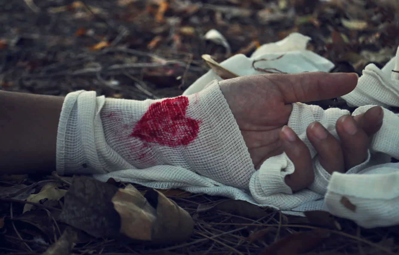 Фото обои листья, кровь, сердце, рука, бинт