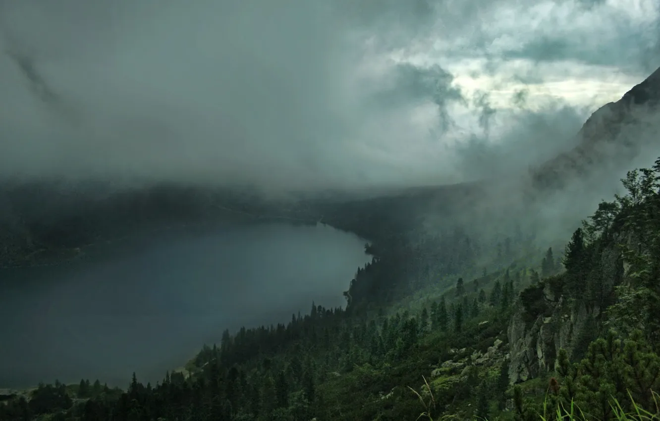 Фото обои лес, облака, туман, озеро, сопки