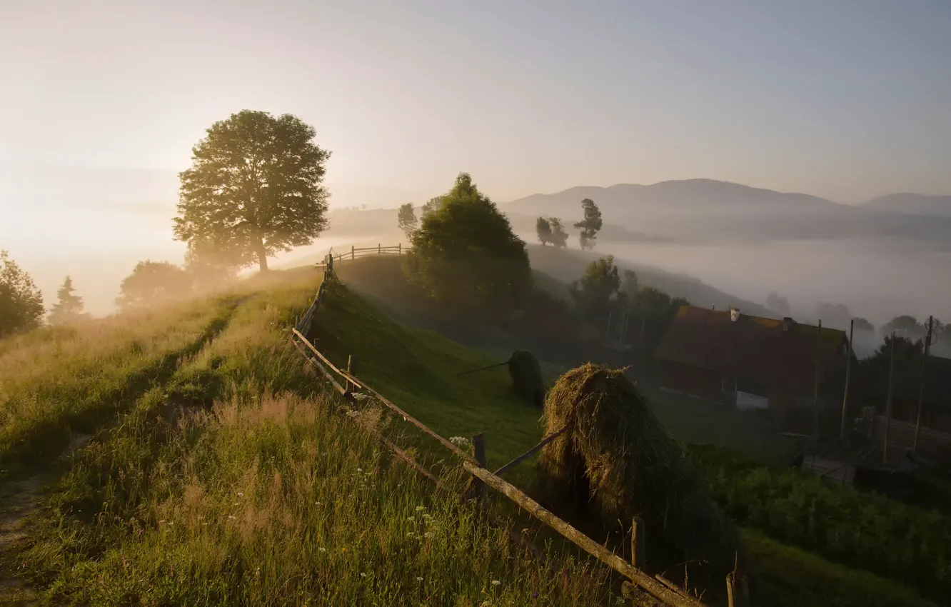Фото обои лето, туман, утро, деревня, Карпаты
