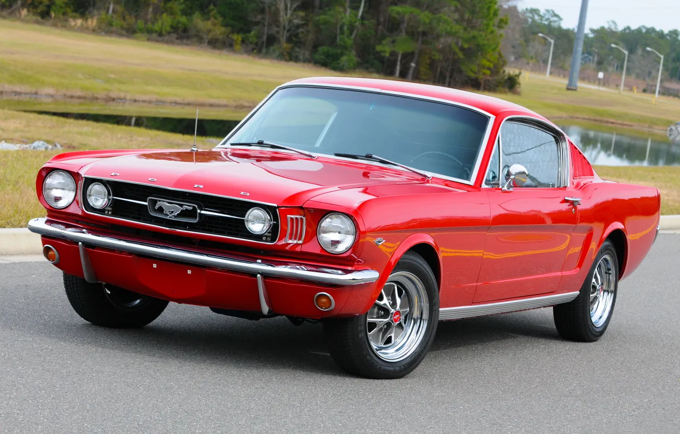 Фото обои Mustang, Fastback, '1966