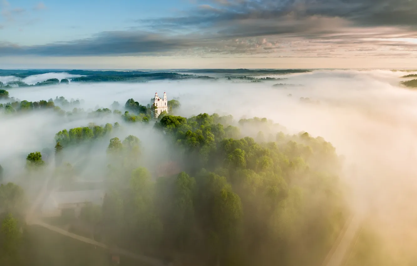 Фото обои дорога, лес, облака, деревья, туман, рассвет, даль, утро