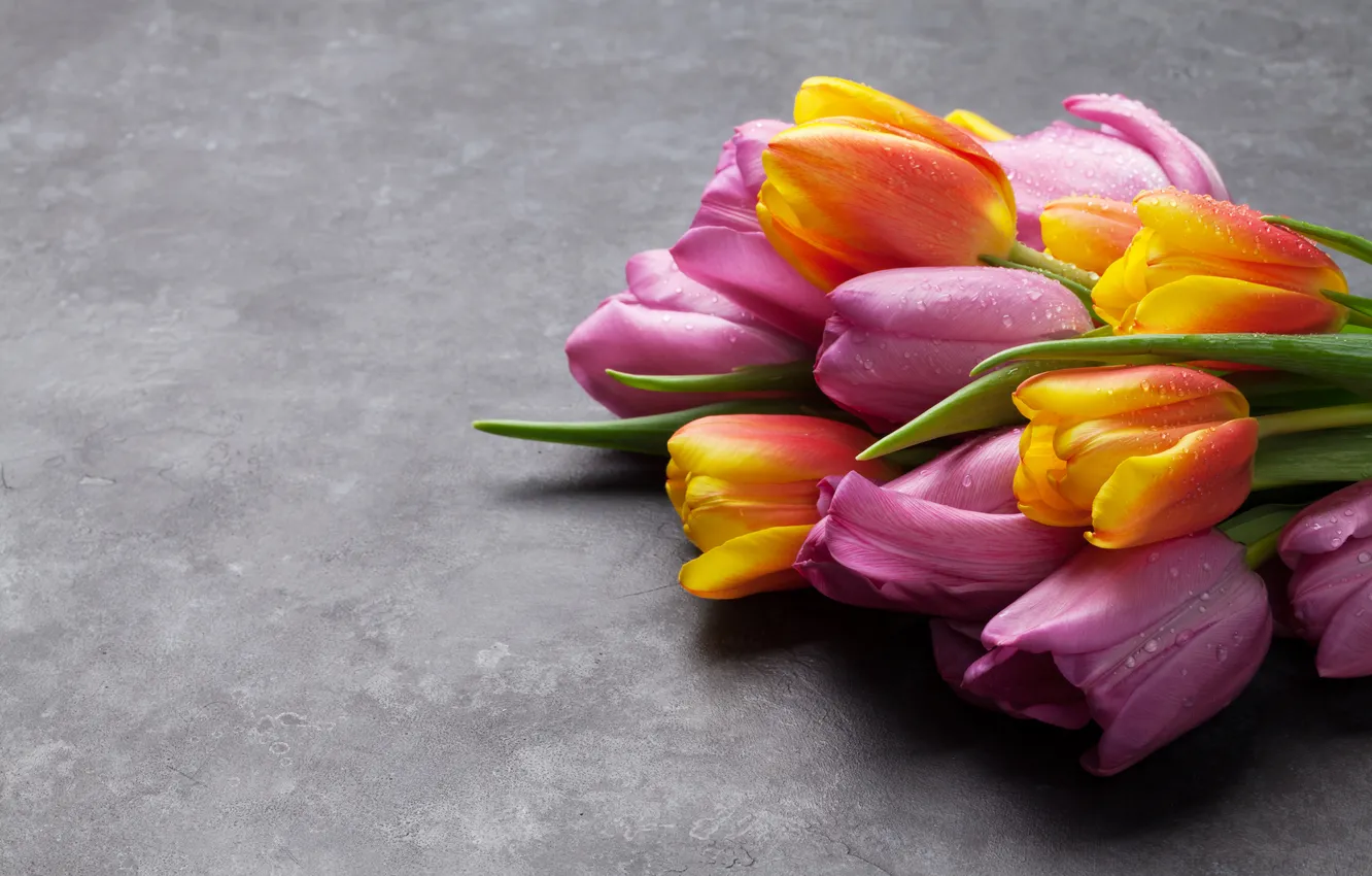Фото обои цветы, букет, colorful, тюльпаны, pink, flowers, tulips, spring