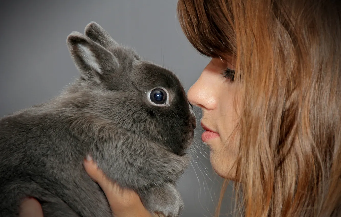 Фото обои настроение, кролик, девочка