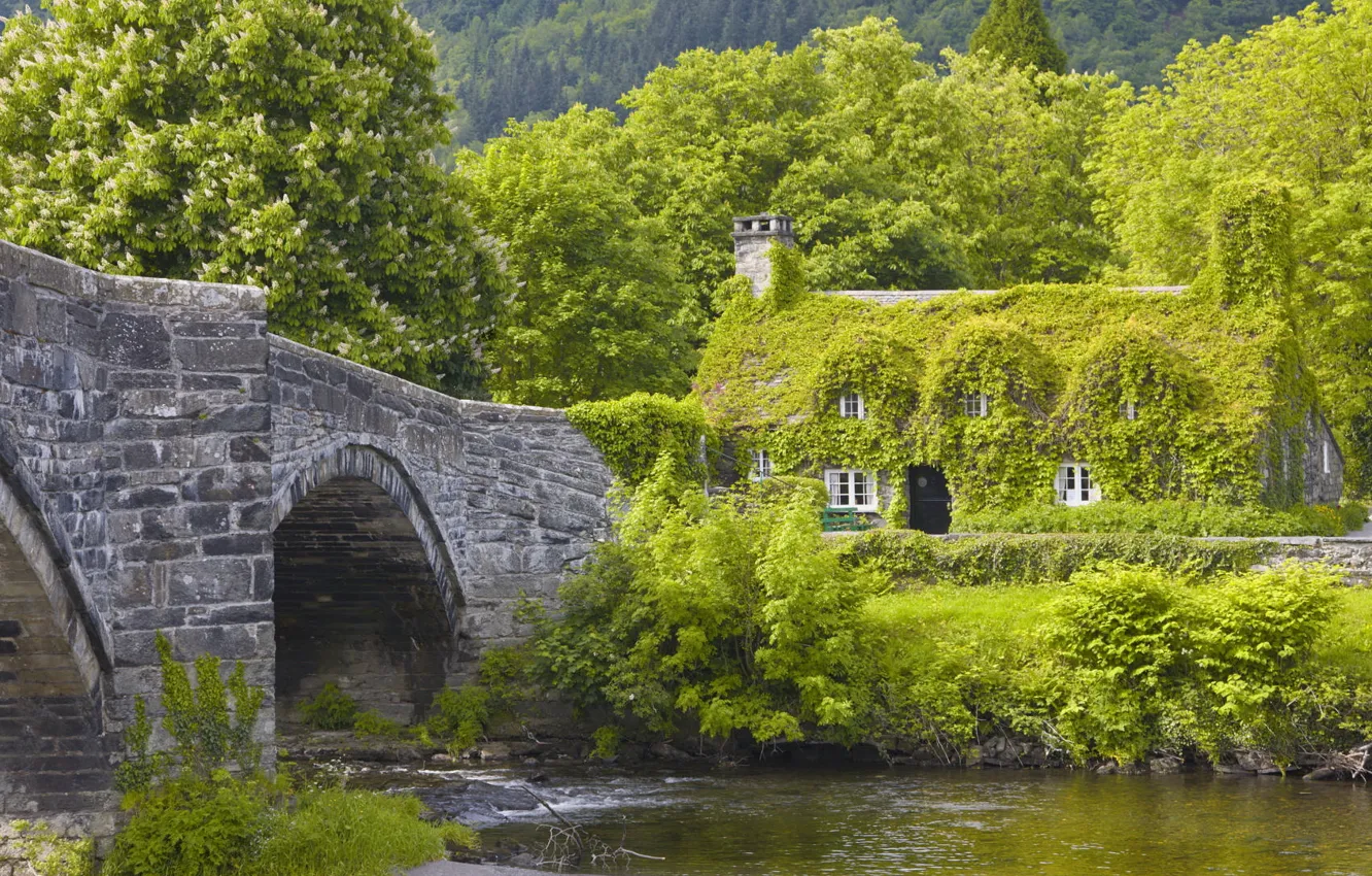 Фото обои мост, дом, река, день, весь, чудестный, берегу, в зелени.