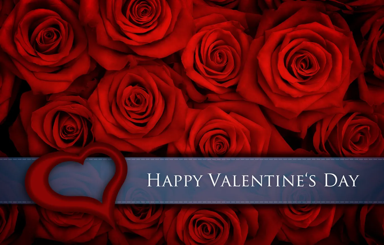 Фото обои любовь, цветы, розы, valentine's day