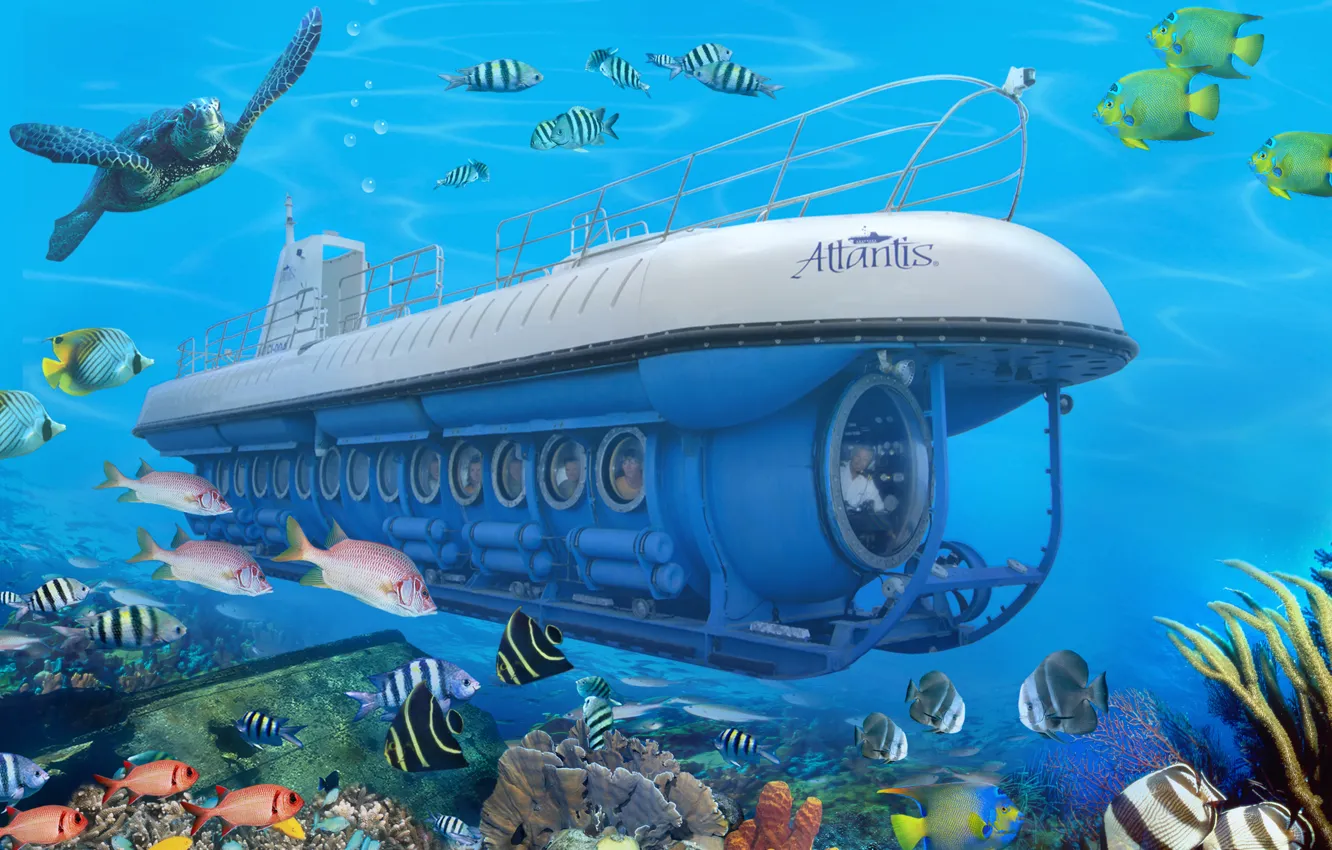 Фото обои субмарина, под водой, underwater, under water, туристы, reef, submarine, tour