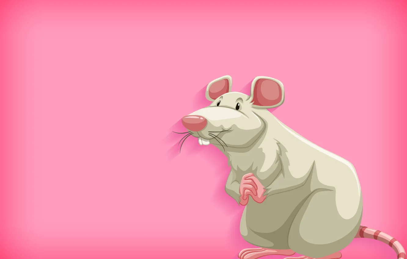 Фото обои pink, art, animal, rat