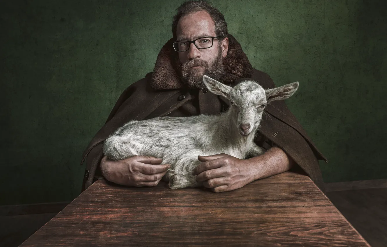 Фото обои человек, портрет, овца