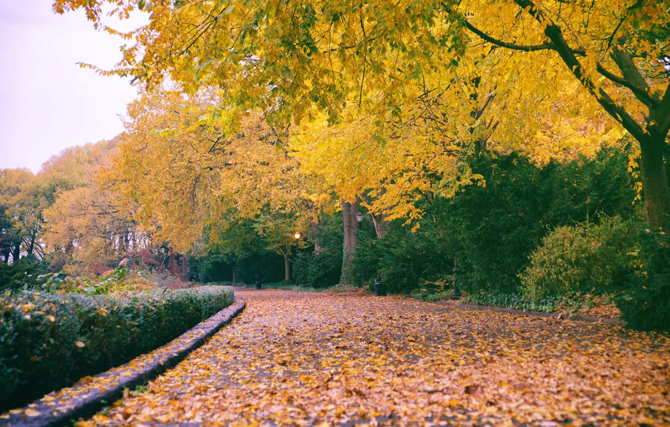 Фото обои New York City, Autumn, The Cloisters, Fort Tryon Park
