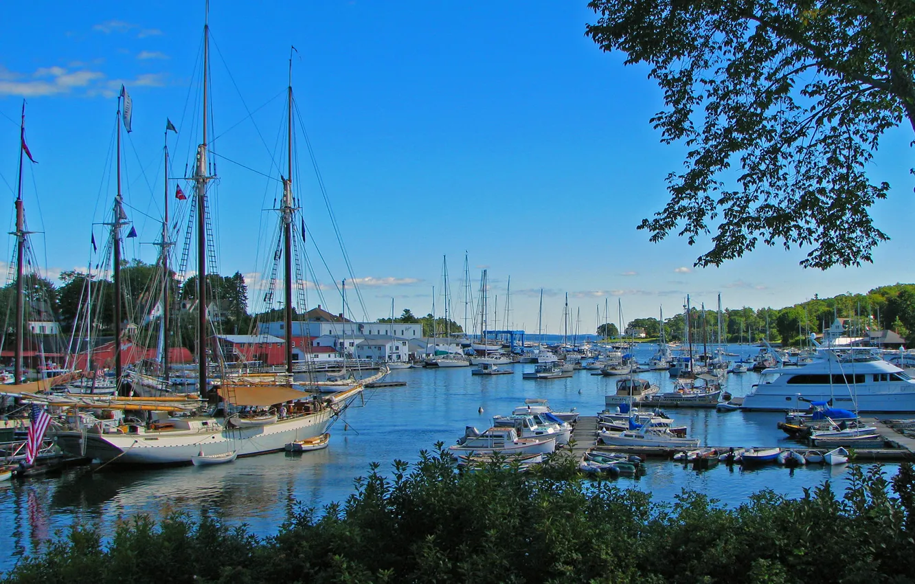 Фото обои небо, деревья, лодка, яхта, порт, залив, стоянка, гавань